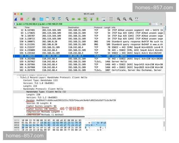 无损压缩算法更新传输协议 超高清画质承载力倍增 无损压缩算法更新传输协议 超高清画质承载力倍增